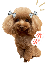 ポポ